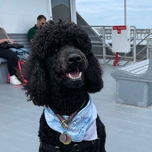 Meet your Posher, Kate